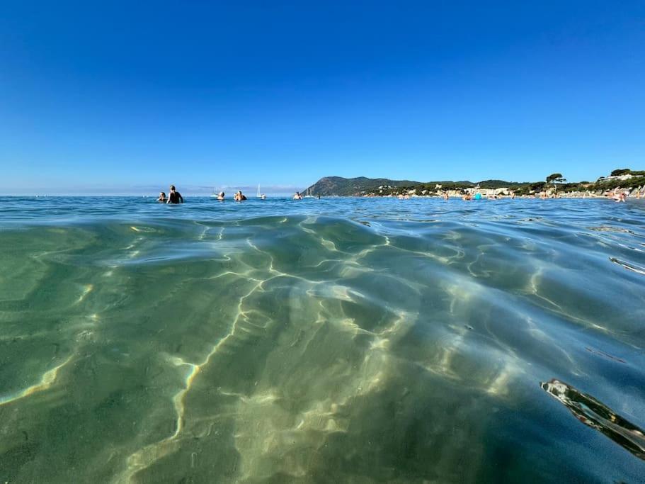 Appart Cosy, Piscine, Clim, Parking Prive - Proche Plage - Arrivee Autonome - Lit Queen Size La Seyne-sur-Mer Luaran gambar